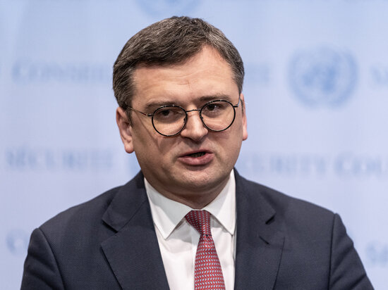     дмитрий кулеба / Global Look Press