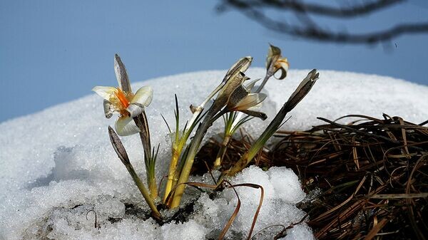    © Sputnik / Анатолий Устиненко