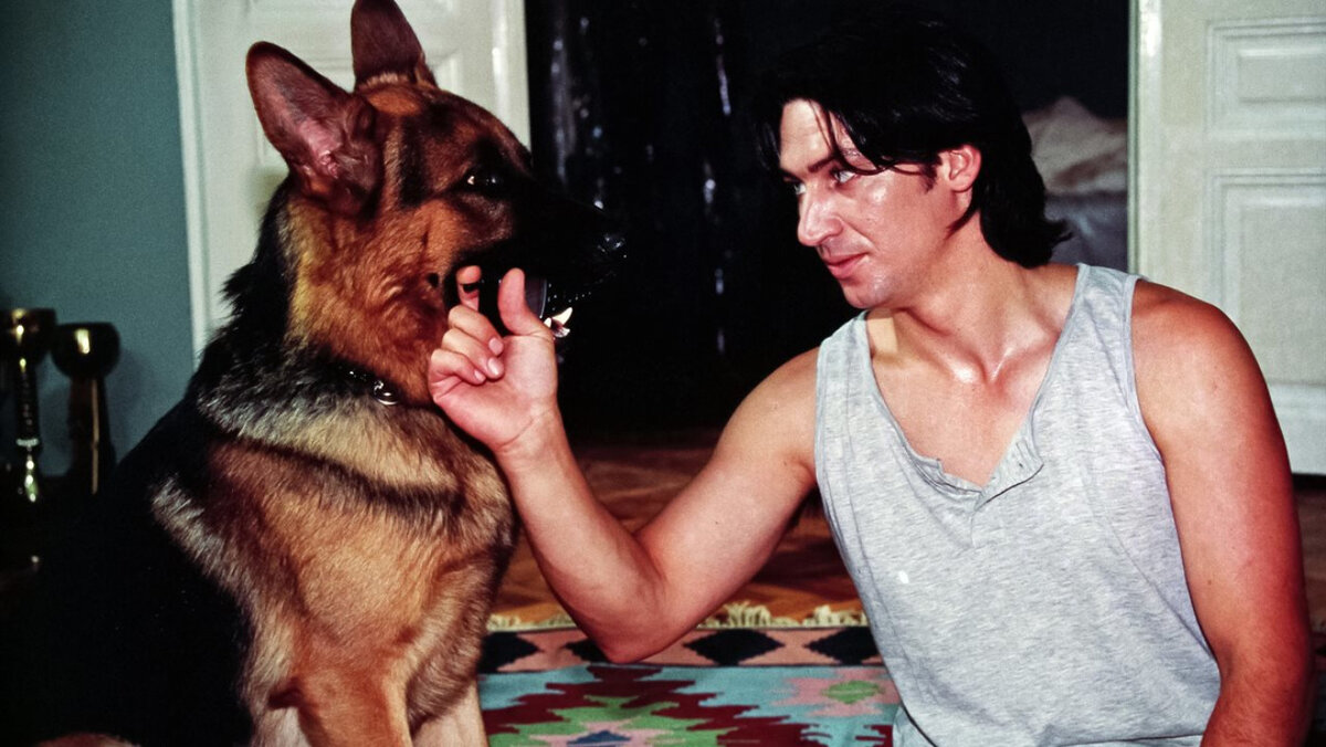    Кадр из видео