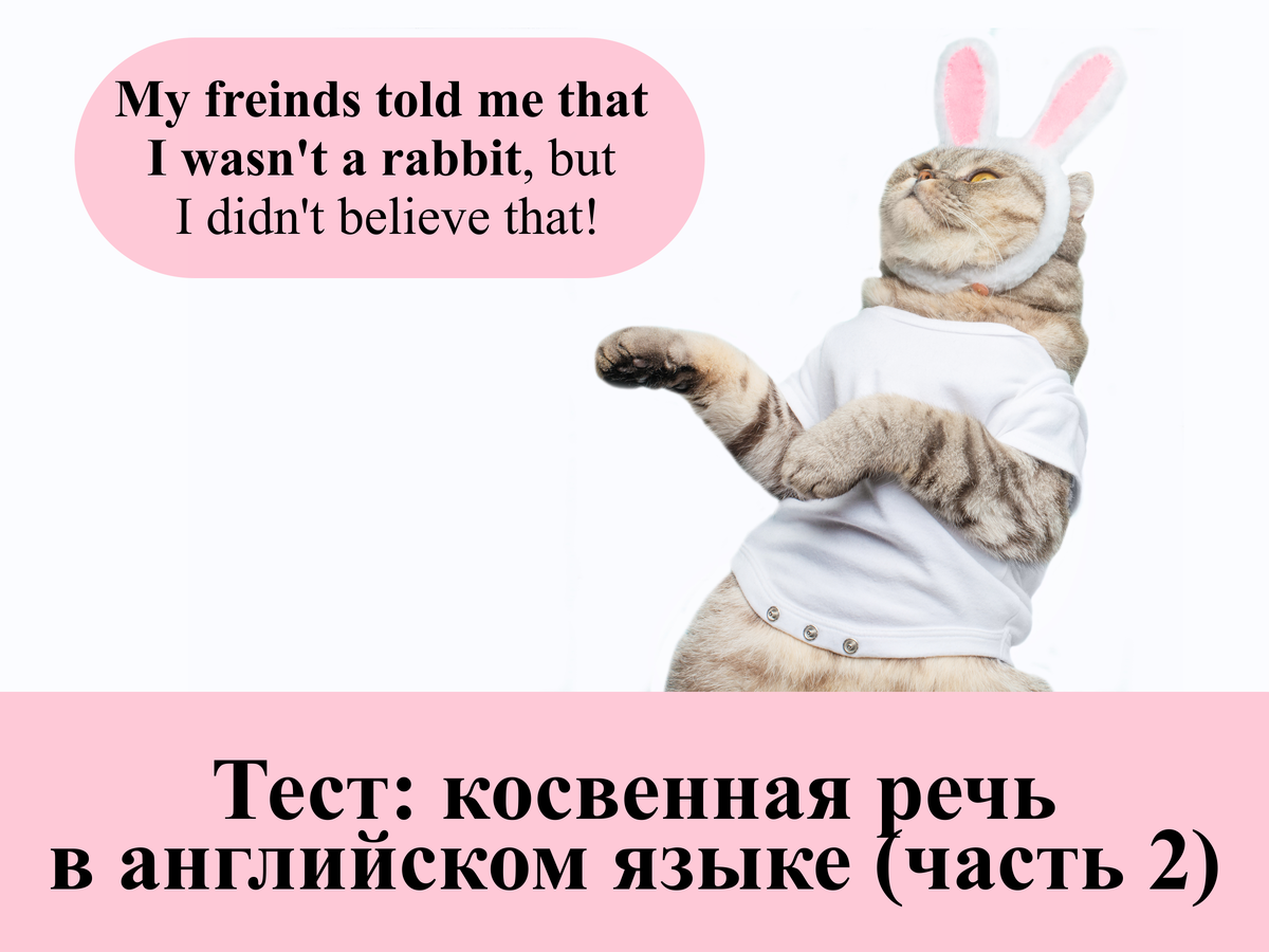 Кот не сдаст тебя. Опять на английском языке. Опять английский. Опять на английском языке. Английские пословицы картинки.