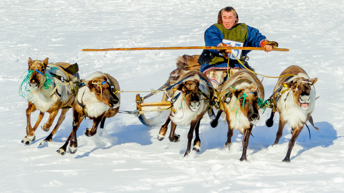 Павел Кузьмичев