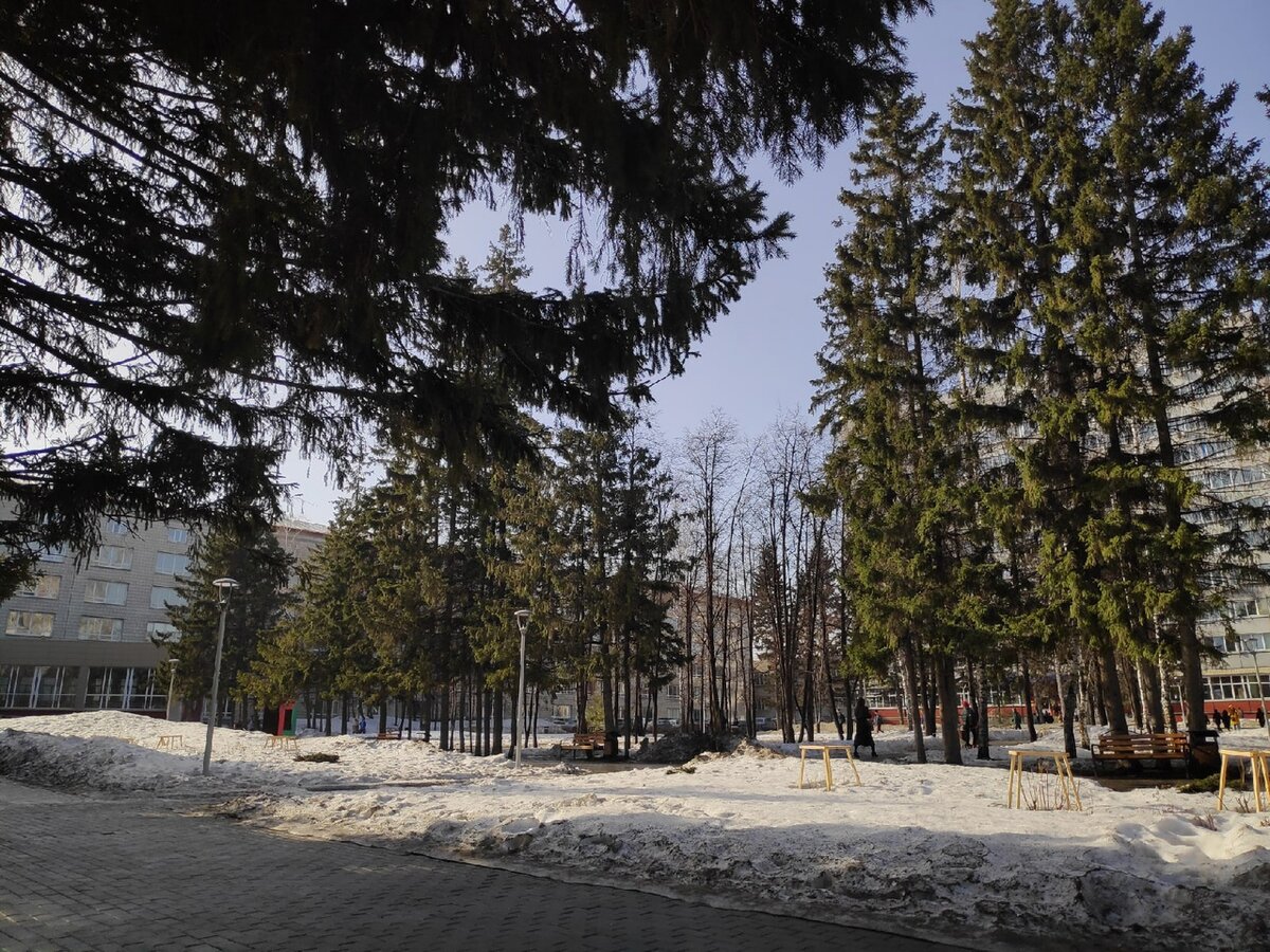 Немножко фотографий из Новосибирска - родины Тотального диктанта. Автор фото - моя дочь.