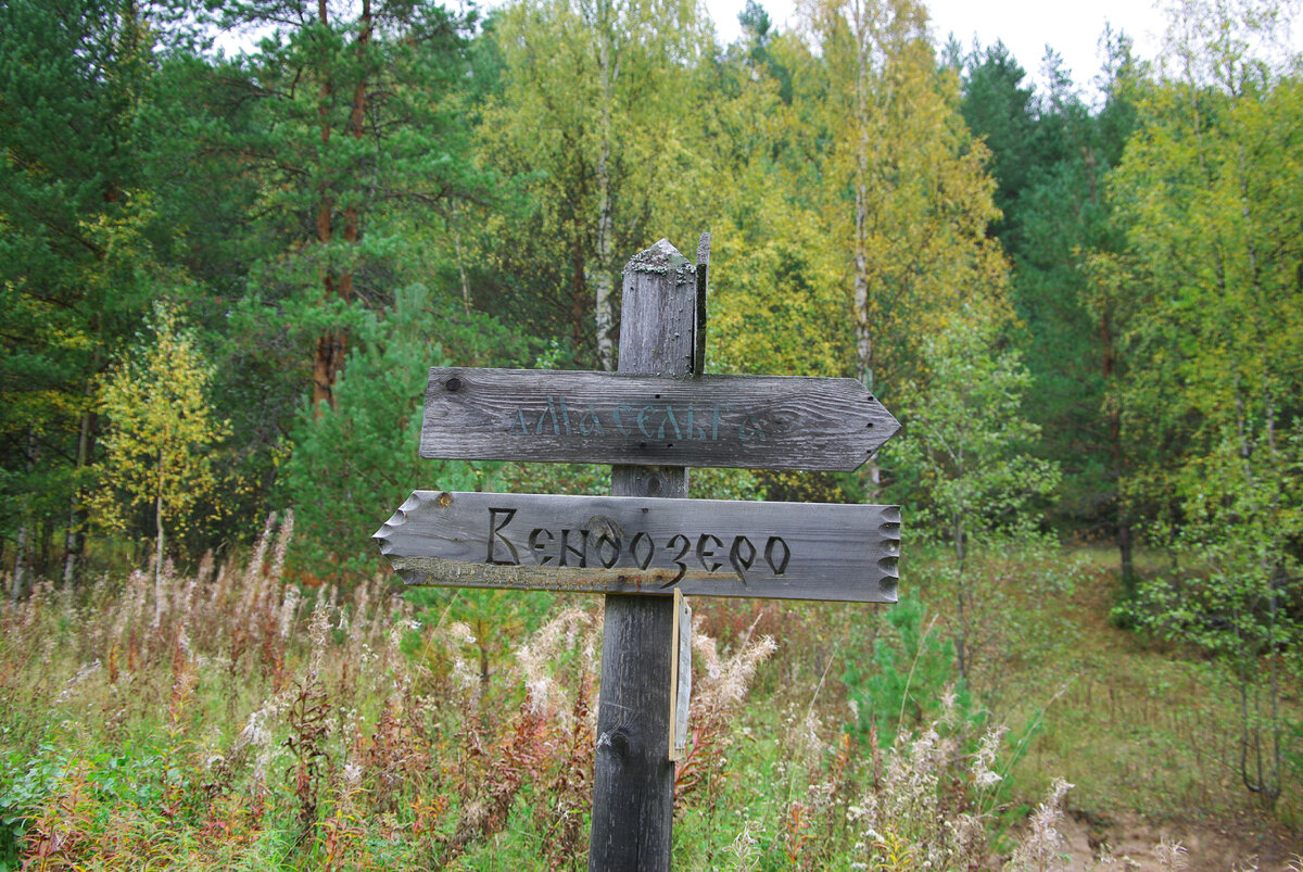 Фото 2009г.