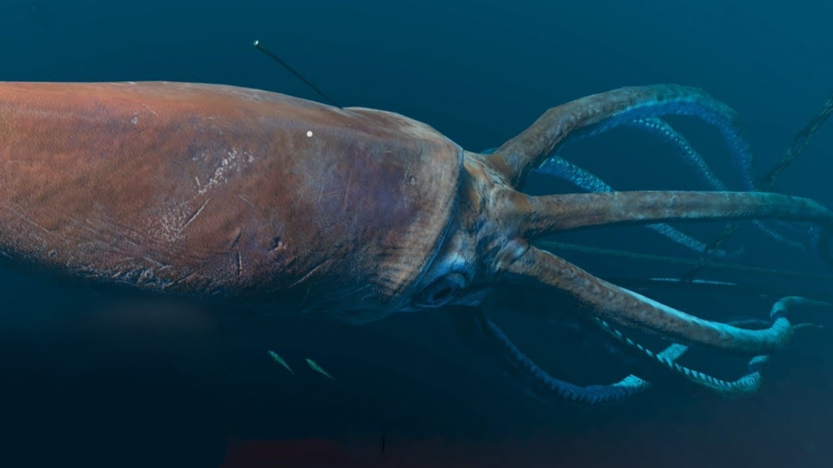 Источник фото fishki