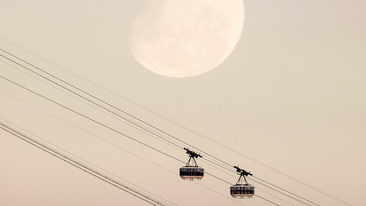 Photo by Felipe Dias on Unsplash