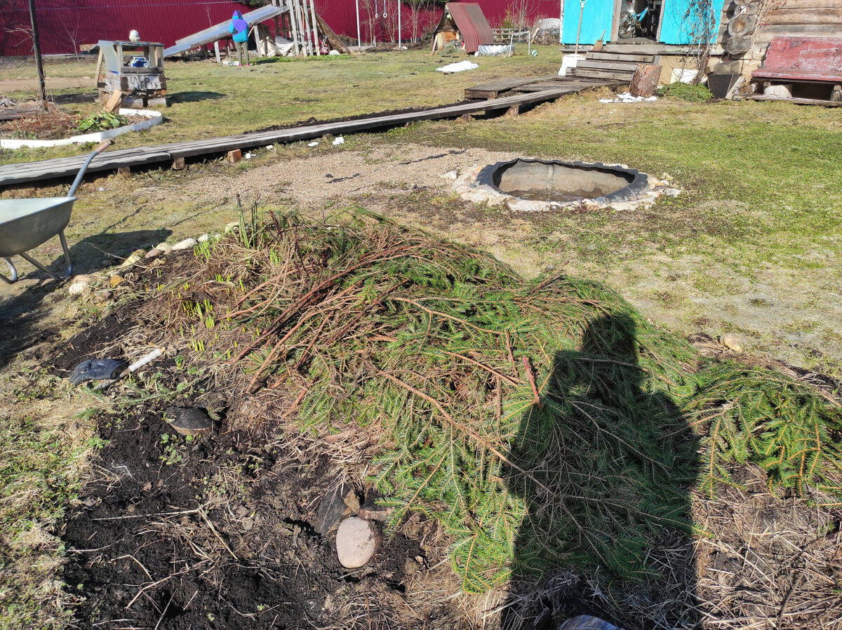 Главный показатель, что пора снимать укрытие-нарциссы. 