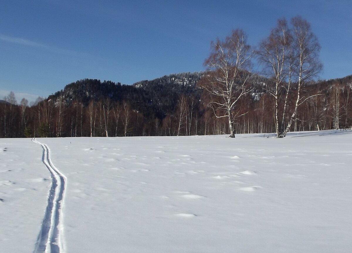 Месяц не было стула