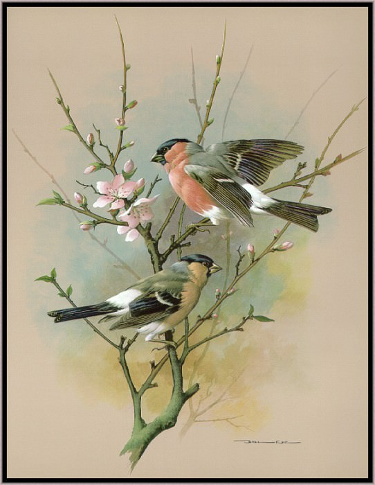 ����� ���. ������� ���������                      https://gallerix.ru/storeroom/168377568/N/203627678/