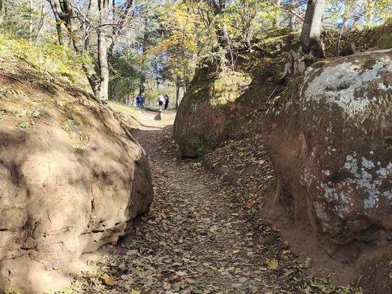     Фото: МК в Туле