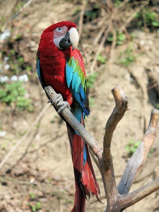     ФОТО UNSPLASH.COM