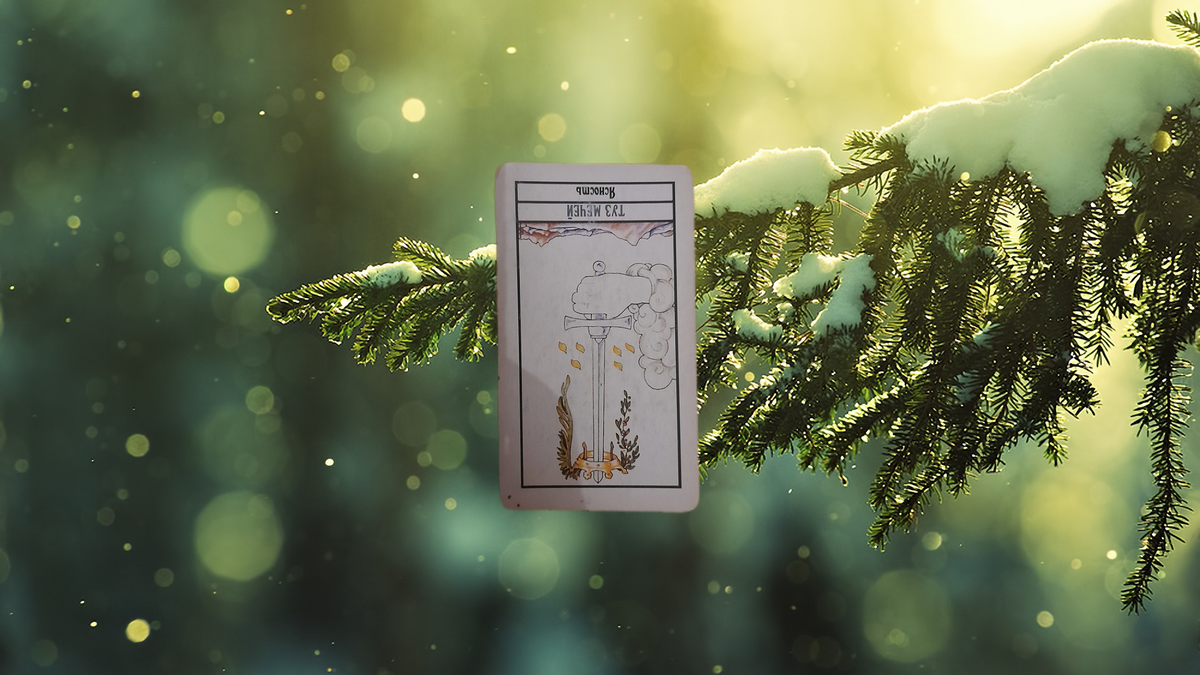 переходим к описанию