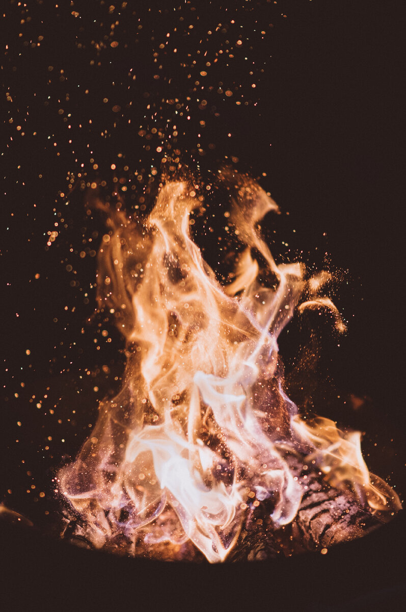 Источник: Unsplash 