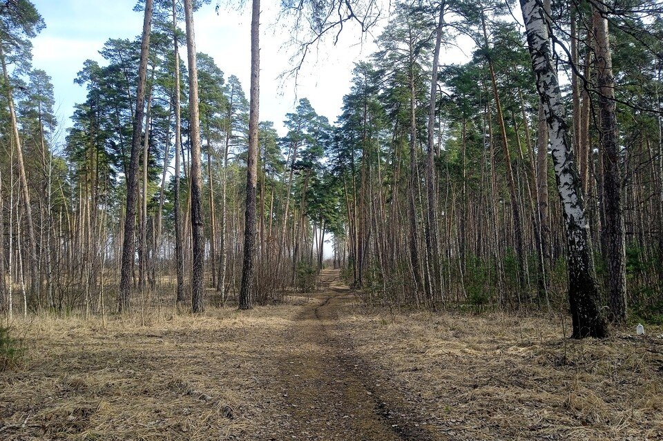     В Липецкой области до +18 градусов в четверг 6 апреля Юлия КЛЮЕВА