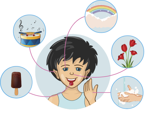 Какие же факты есть о наших органах чувств?