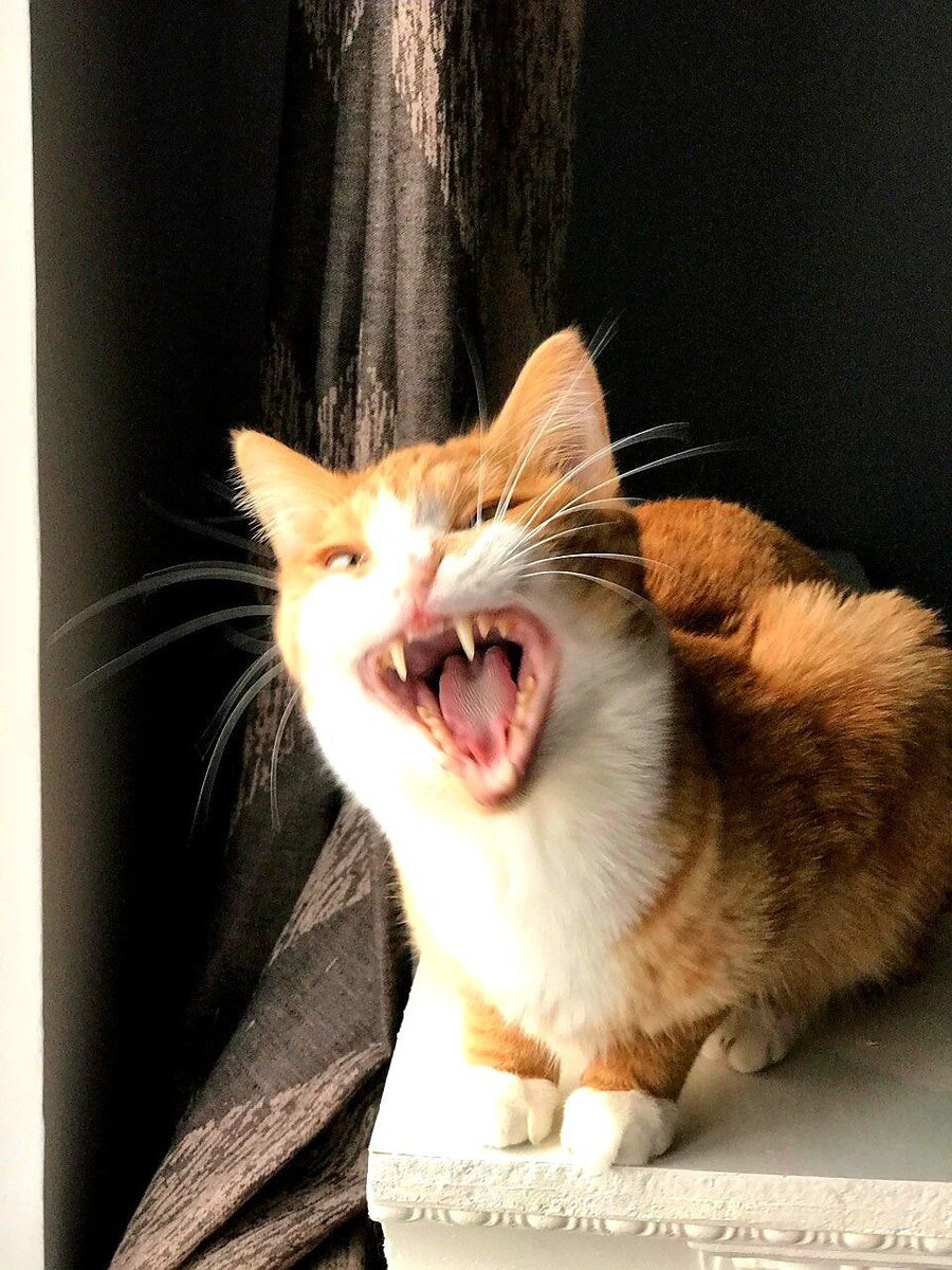 2. Сонливость 