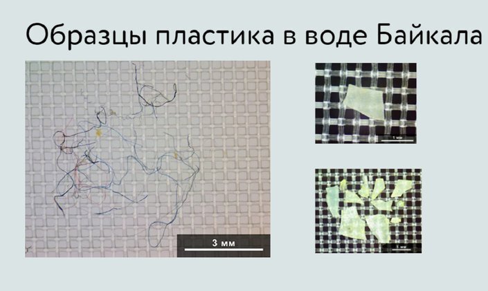    Образцы пластика. Изображение с сайта www.baikalplasticfree.ru