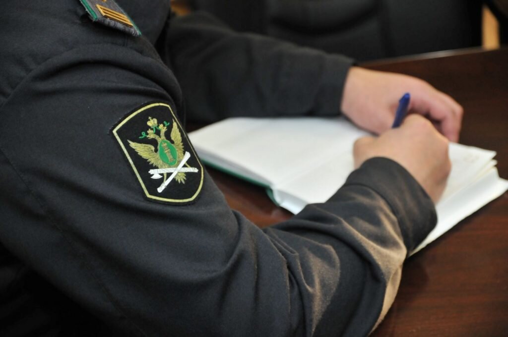 Принудительное исполнение судебным приставам исполнителям. Принудительное исполнение судебным приставам исполнителям