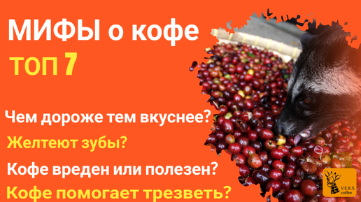 下载视频: 7 популярных мифов о кофе|| Полезен ли кофе? || От кофе желтеют зубы? || Норма кофе?|| Влияет цена?