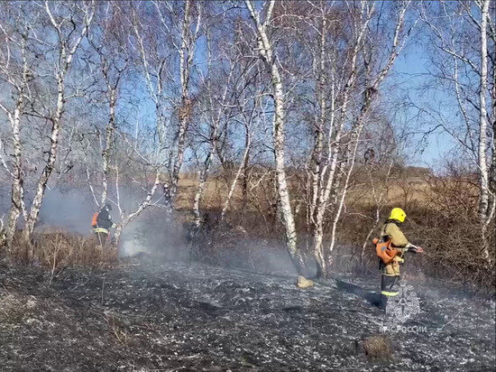     Фото: скриншот видео t.me/mchskrsk.