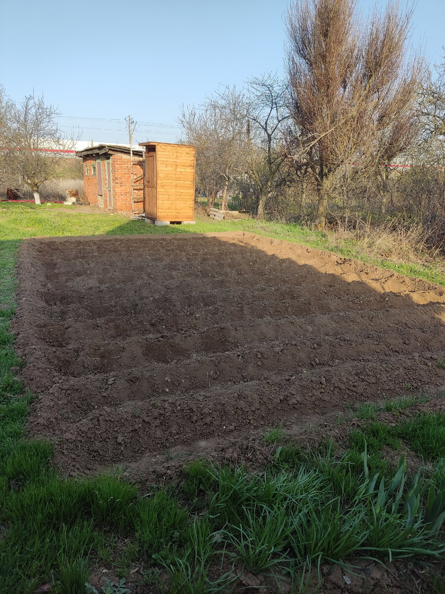 Картошка посажена 