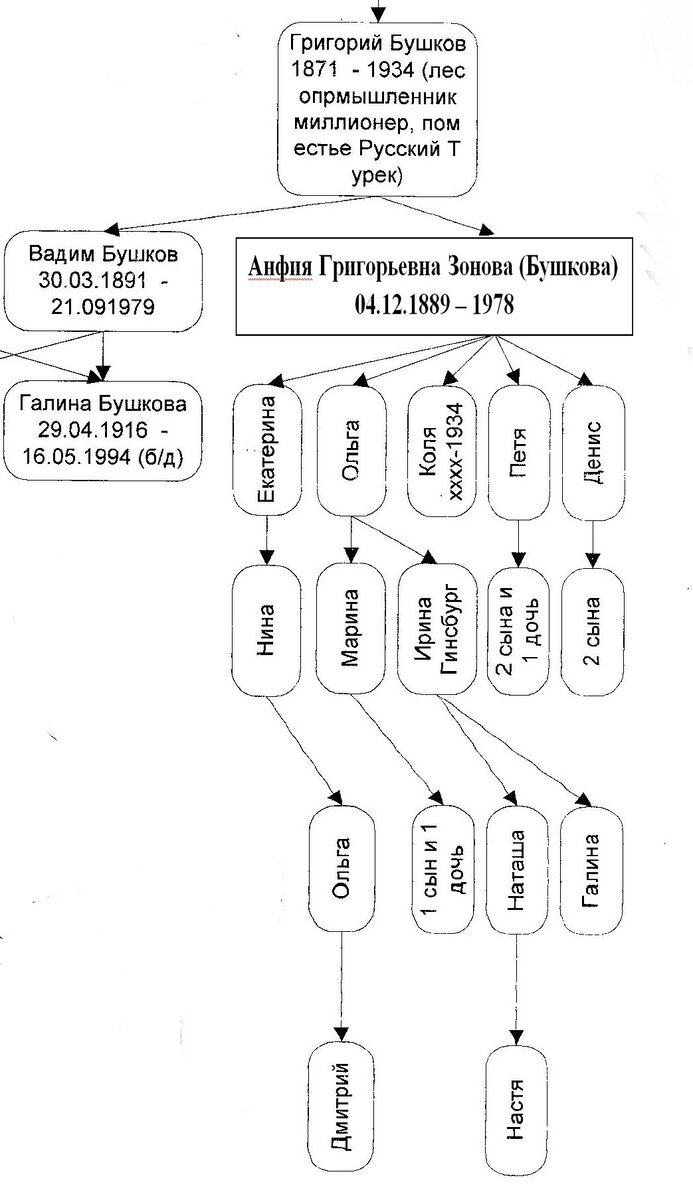 Генеалогическое дерево Анфии Григорьевны Зоновой(Бушковой) от потомков из Кирова.