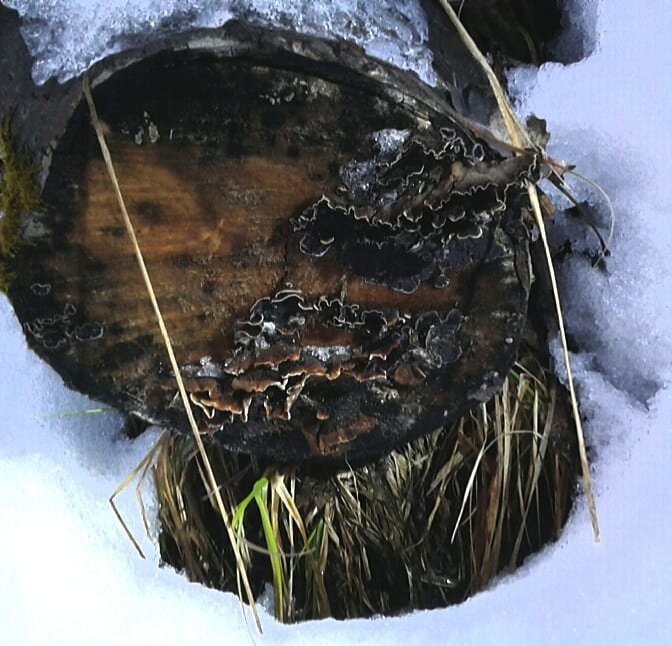 Фото из моего архива