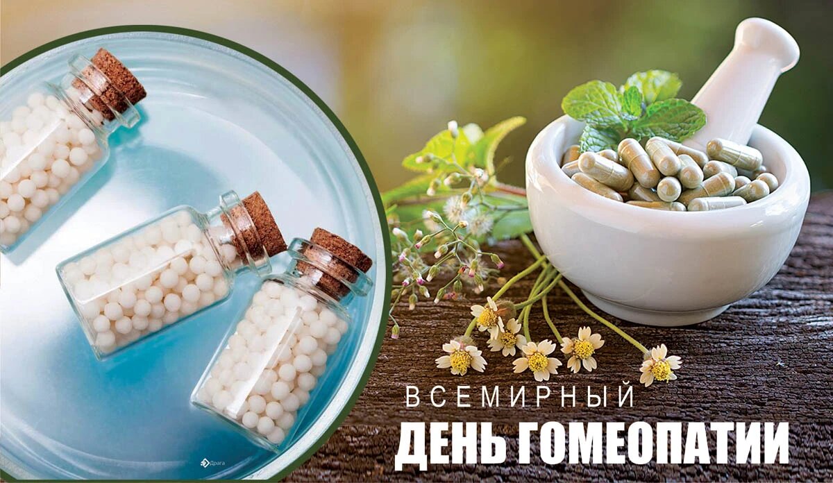Всемирный день гомеопатии. Иллюстрация: «Весь Искитим»