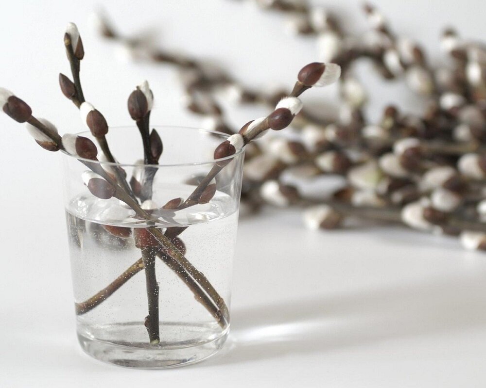 Поздравляю всех с праздником!