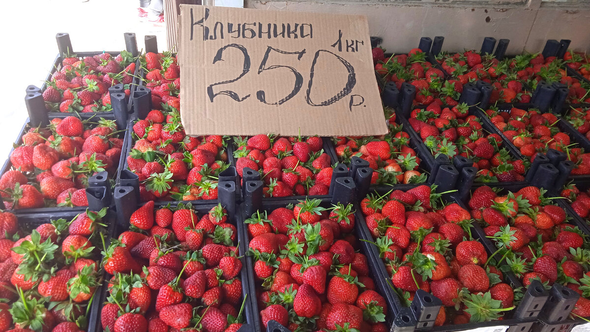 Клубника турецкая