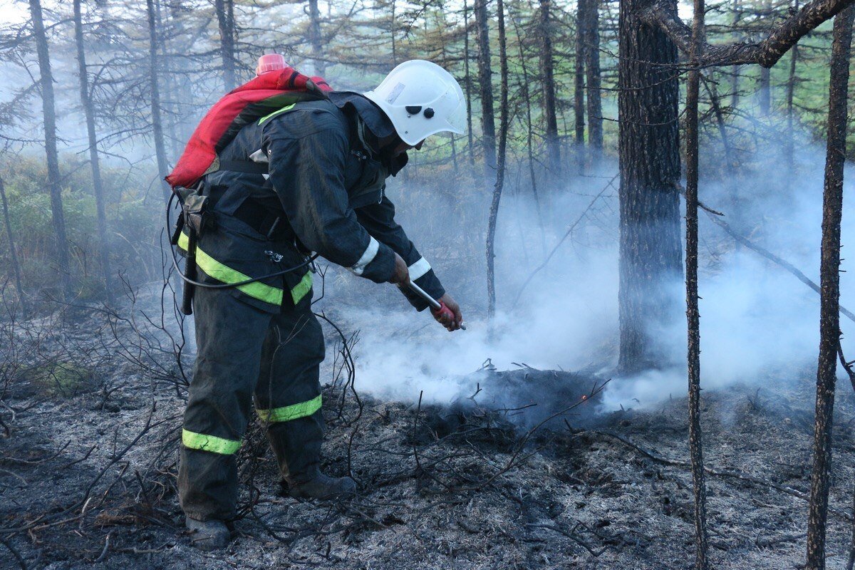    В Хабкрае появятся авиационные отделения по борьбе с лесными пожарами