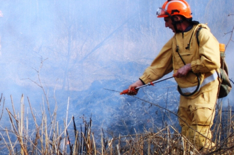 Фото: Пресс-служба губернатора и правительства Хабаровского края