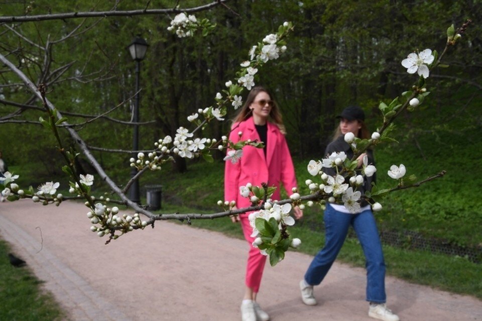     Погода на неделе порадует теплом, но готовимся к ветру и дождям. Михаил ФРОЛОВ