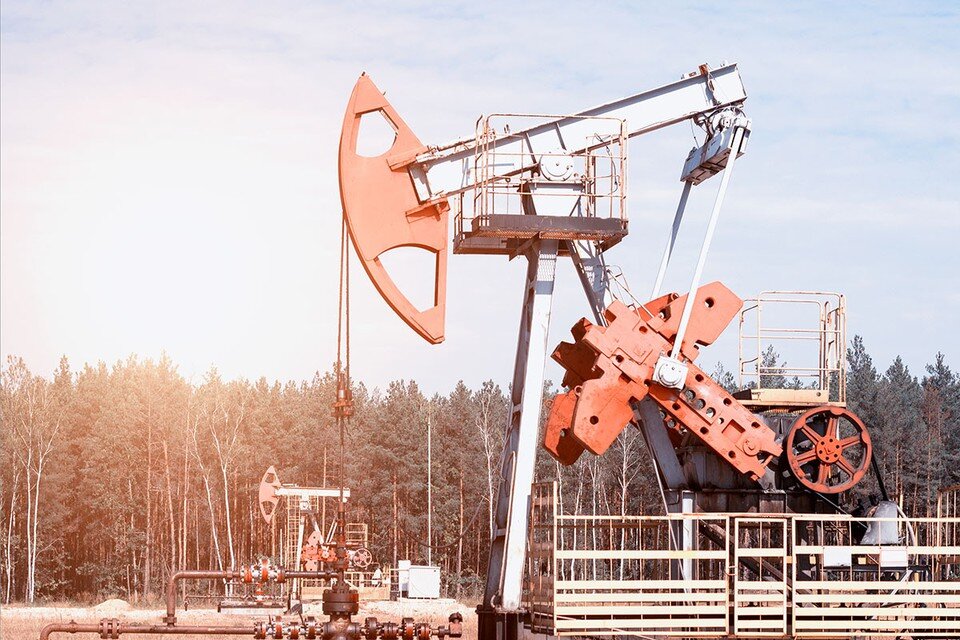     В марте был установлен новый максимум импорта  Shutterstock