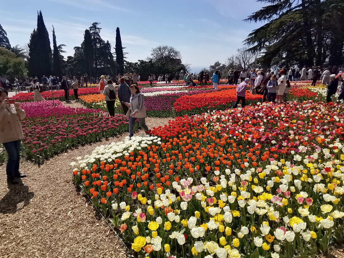 Воскресный день.