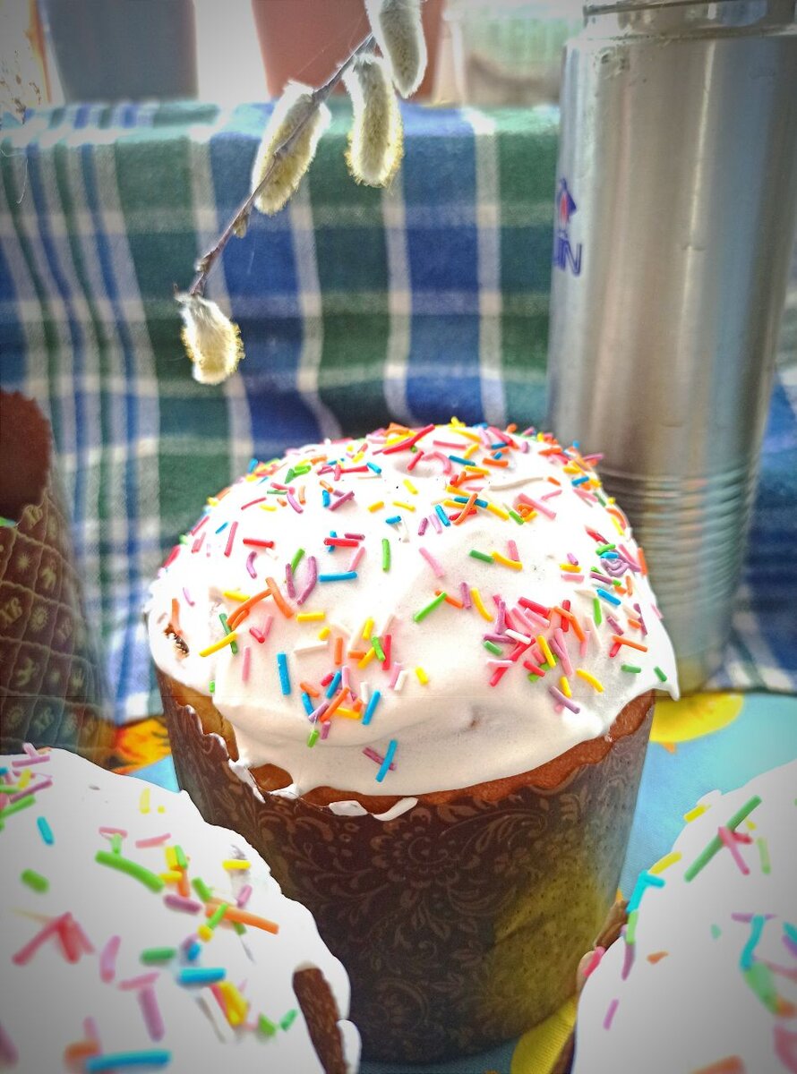 Фото прошлогодние