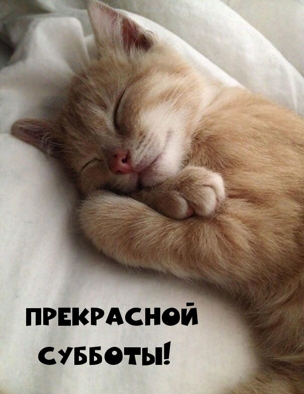 Взято из интернета.