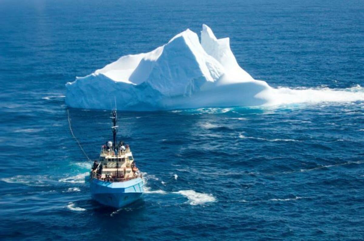 Фото с сайта: https://polzam.ru