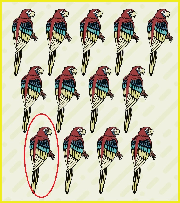 Тест на внимательность: лишь единицы могут найти лишнего попугая на картинке за 10 секунд. Сколько времени нужно вам?