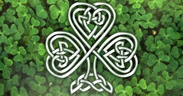 Почему клевер стал национальным символом Ирландии?