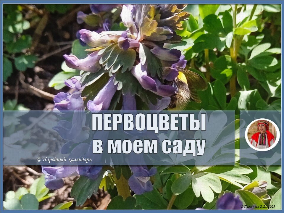 © Народный календарь 