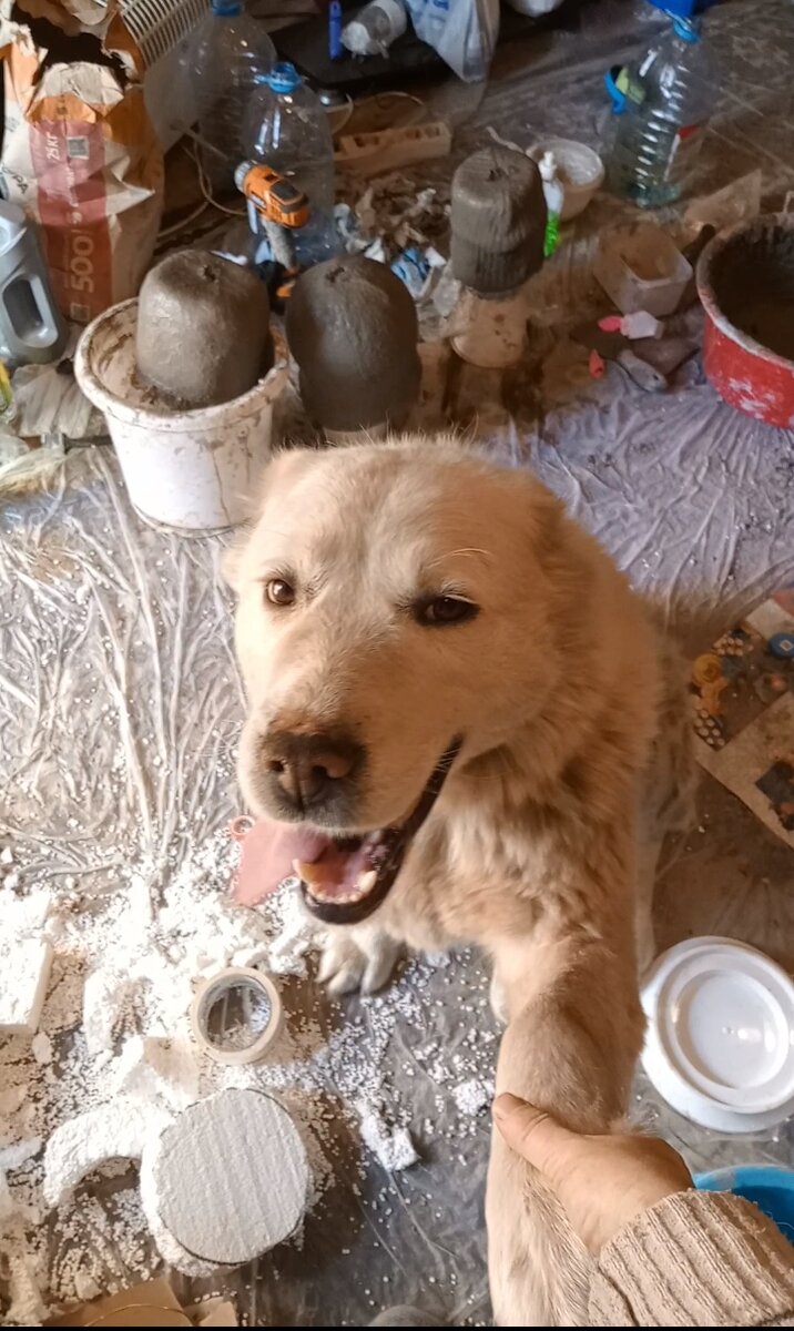 Юнона меня поддерживает всегда.