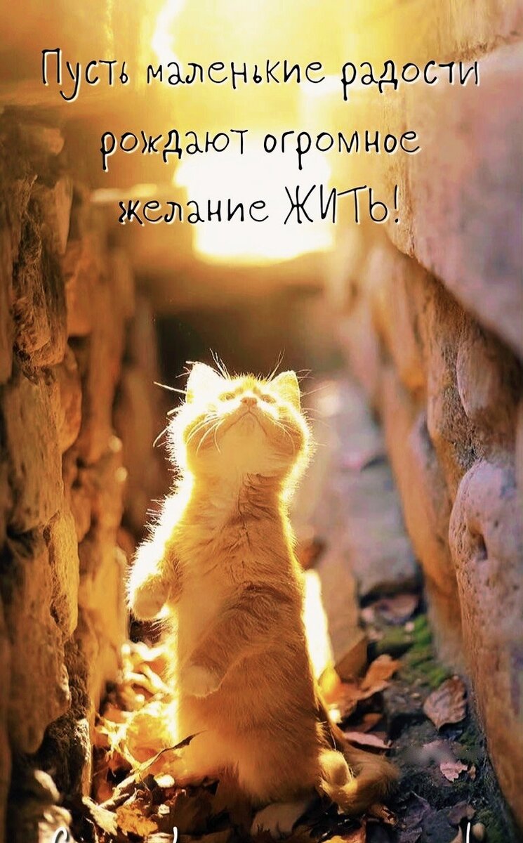 Источник Pinterest