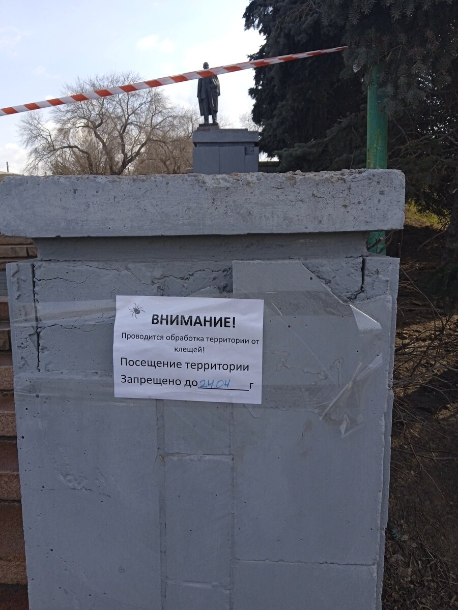 Объявление  разместили в пятницу в обед 12.04.2023года