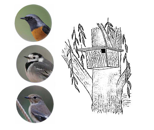 Кубический домик