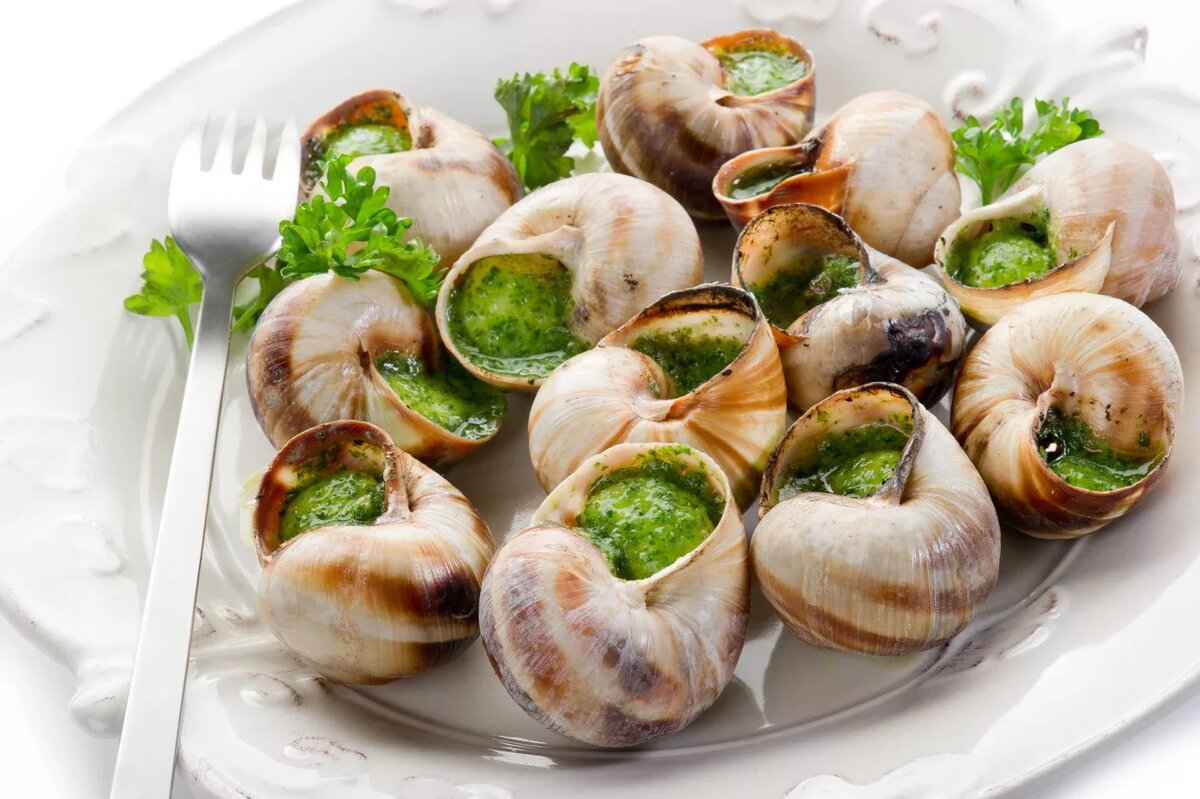 Улитка Виноградная escargots