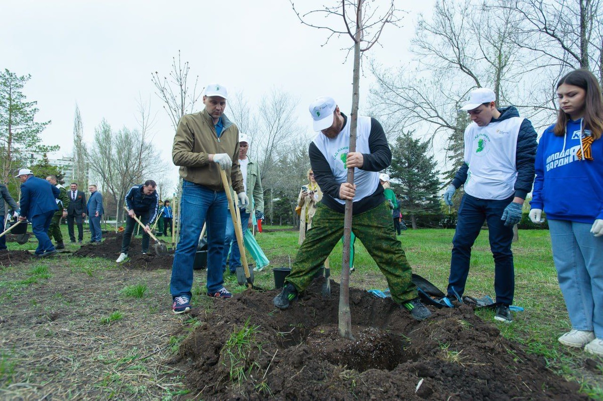  📷    В Оренбурге в сквере им. Юрия Гагарина высадили 30 саженцев липы и клена Кристина Просвиркина