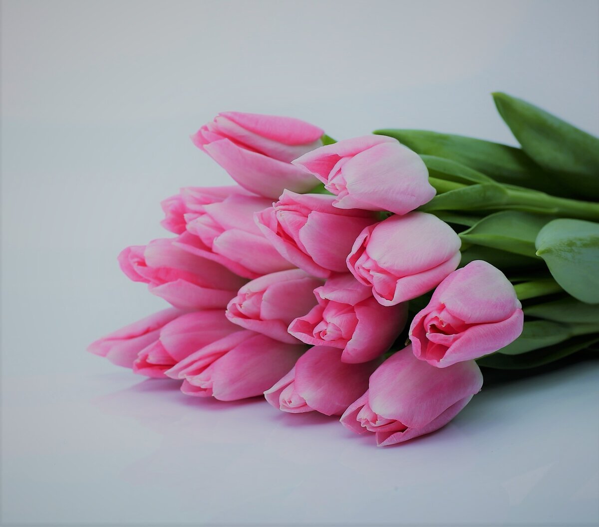 Фото из источника в свободном доступе.