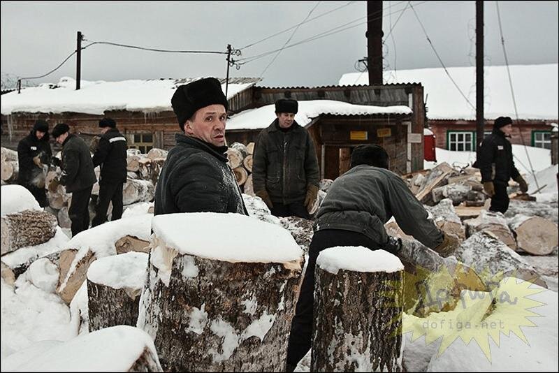зеки в лесах. лесоповал в тайге. зеки на лесоповале в тайге. лесоповал тюрьма. зэки сбежавшие в тайгу.
