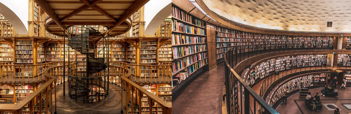 Я считаю, что книги нужны, чтобы всесторонне развиваться, пополнять свой словарный запас, уметь грамотно писать и разговаривать на разные темы.