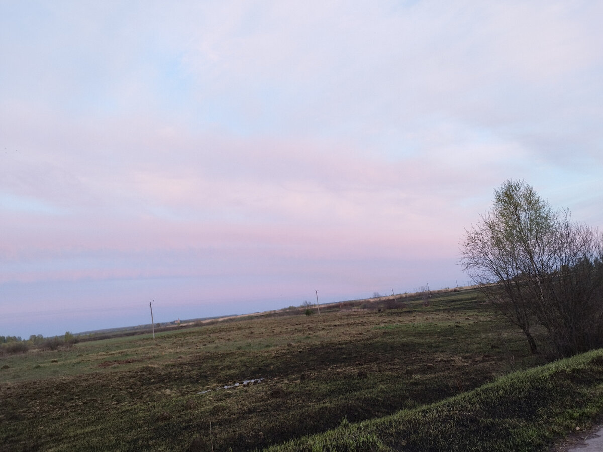 На фото не очень видно, но все поля выжженны😒